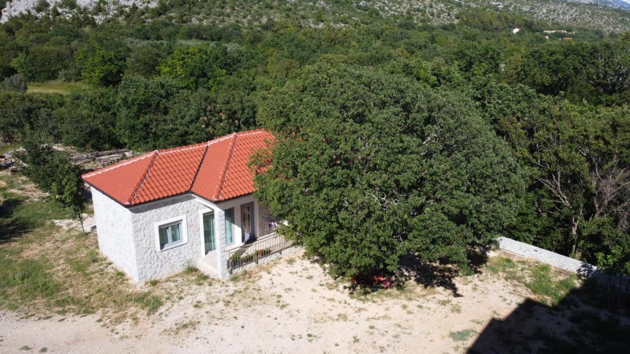 Apartment Anica Kuk Starigrad Paklenica Eksteriør billede
